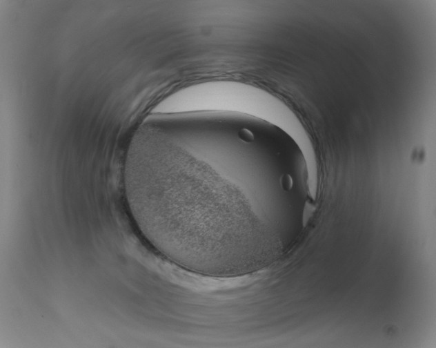 X0000110680035200906261331