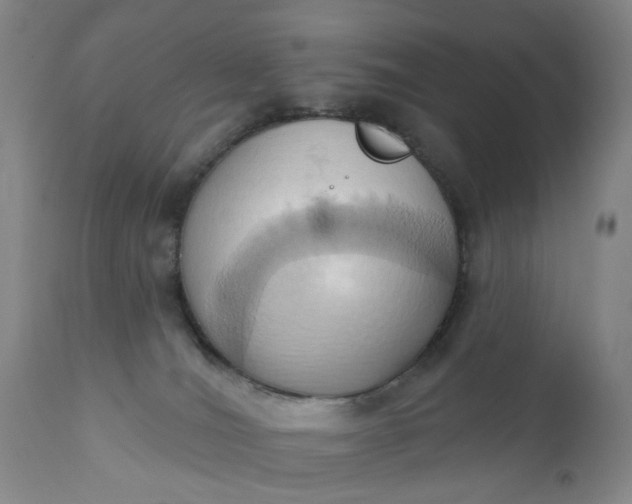 X0000110680036200906261331