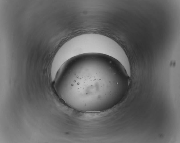 X0000110680037200906261331