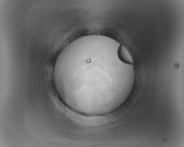 X0000110680038200906261331