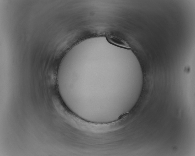 X0000110680039200906261331