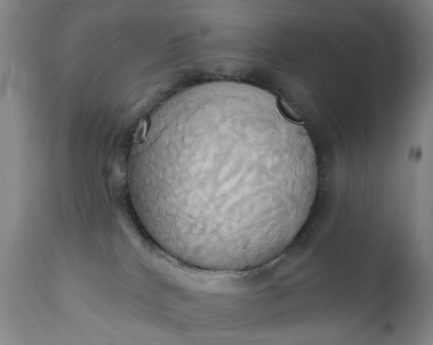 X0000110680040200906261331