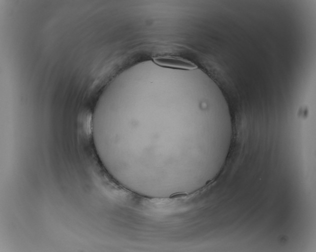 X0000110680041200906261331