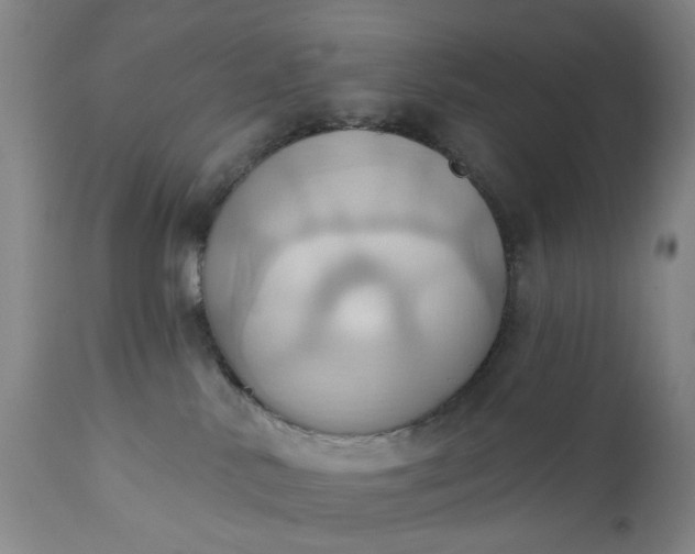 X0000110680042200906261331