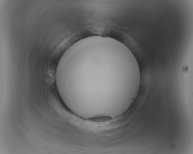 X0000110680043200906261331