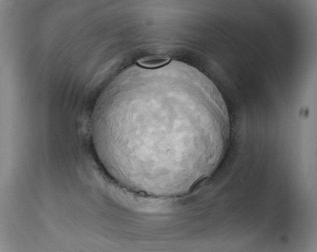 X0000110680044200906261331