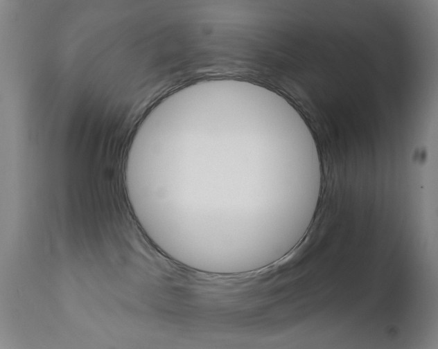 X0000110680045200906261331