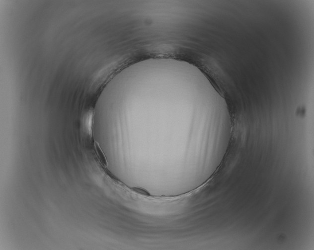 X0000110680047200906261331