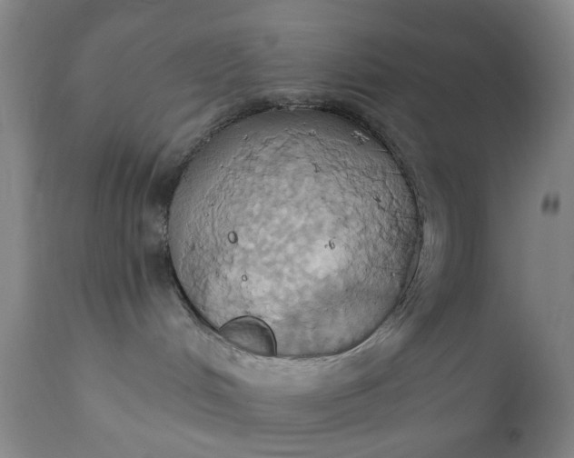 X0000110680048200906261331