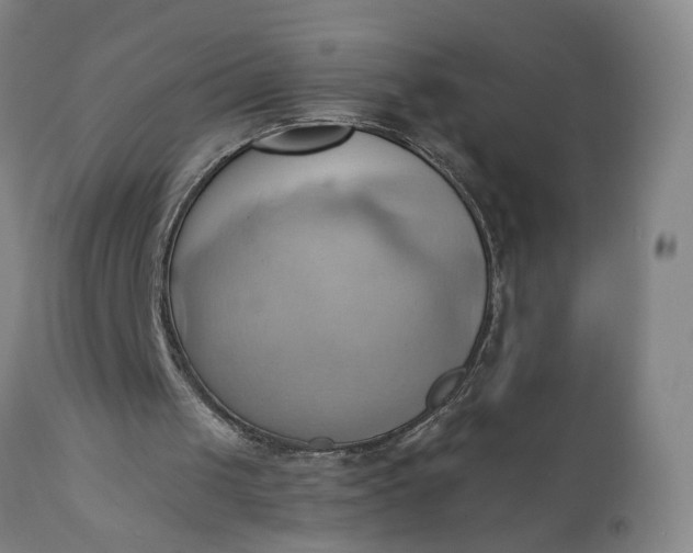 X0000110680049200906261330