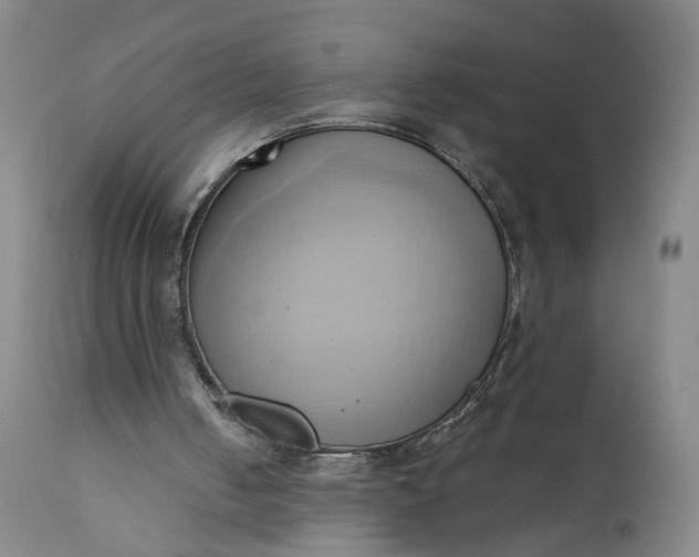 X0000110680050200906261330