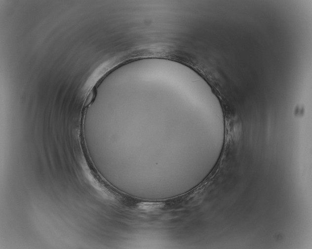 X0000110680051200906261330