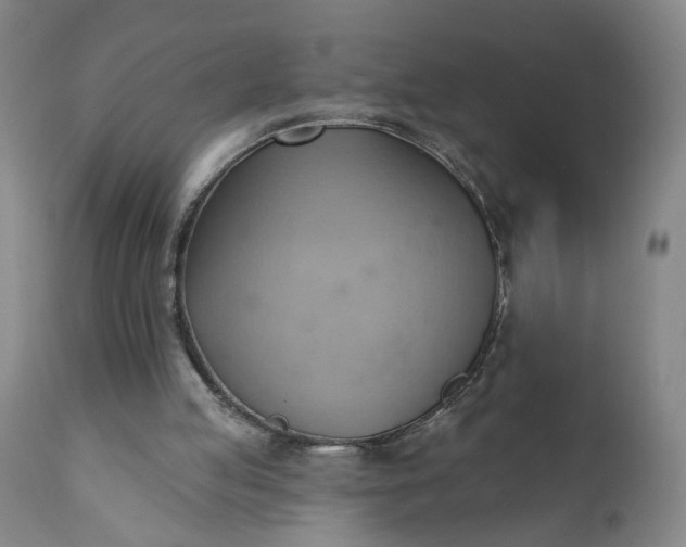 X0000110680053200906261330