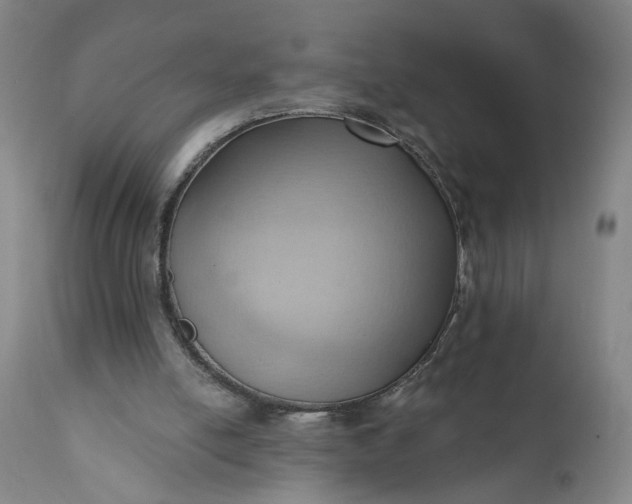 X0000110680054200906261330