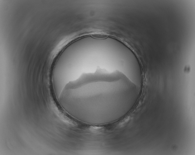 X0000110680055200906261330