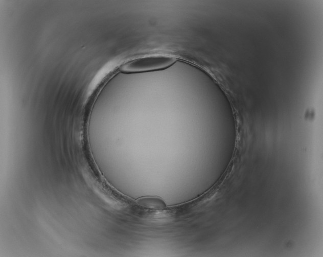 X0000110680056200906261330