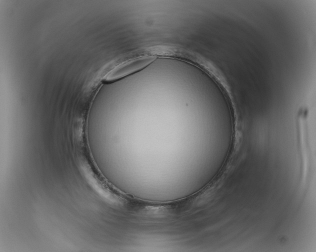 X0000110680057200906261330