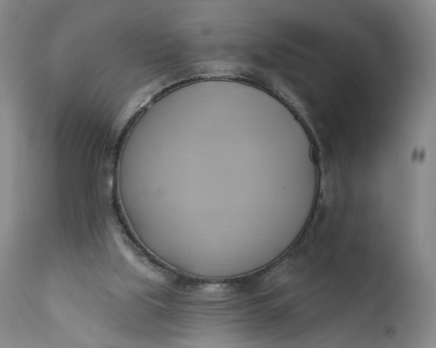 X0000110680059200906261330