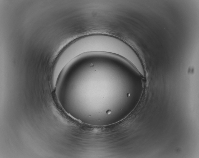 X0000110680060200906261330