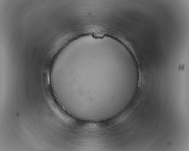 X0000110680061200906261330