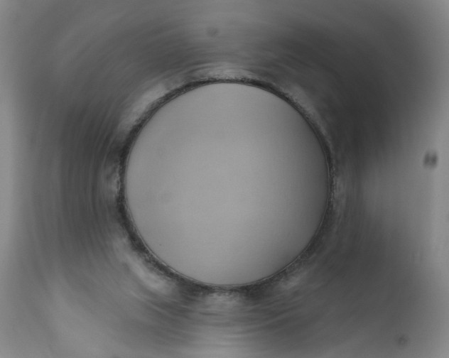 X0000110680063200906261330