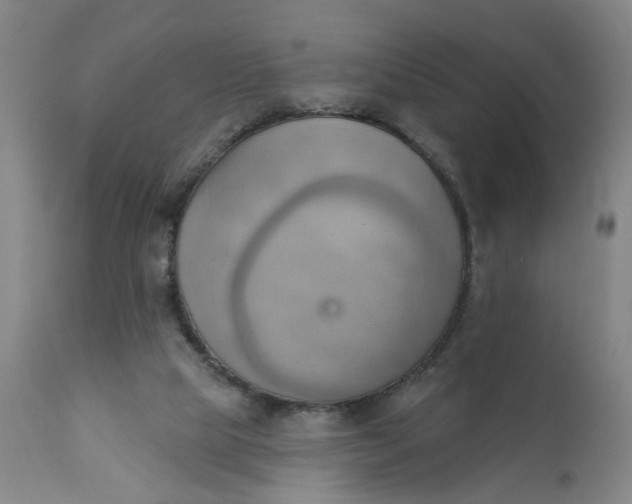 X0000110680065200906261330