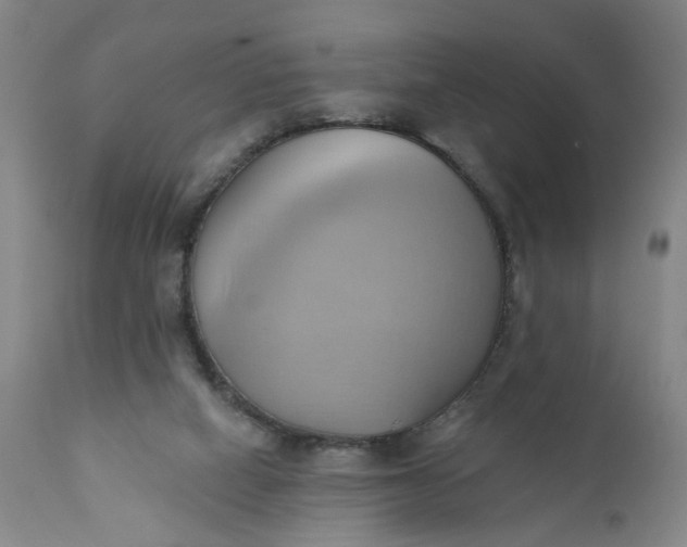 X0000110680066200906261330