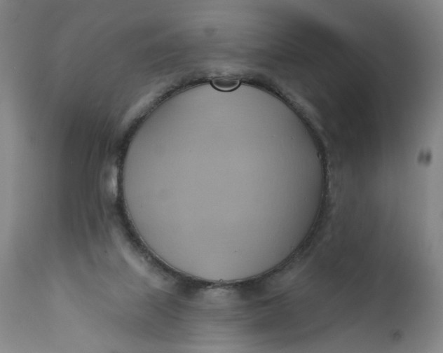 X0000110680067200906261330