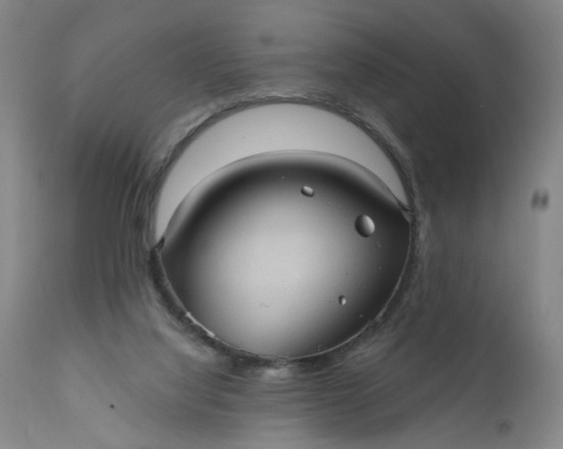 X0000110680068200906261330