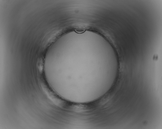 X0000110680069200906261330