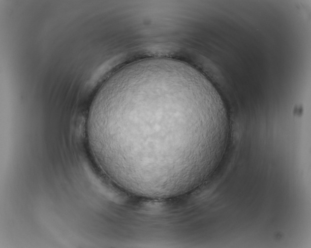 X0000110680071200906261330