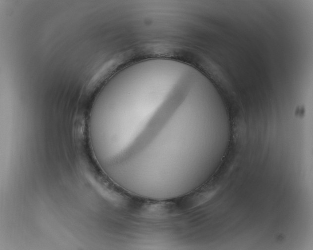 X0000110680072200906261330