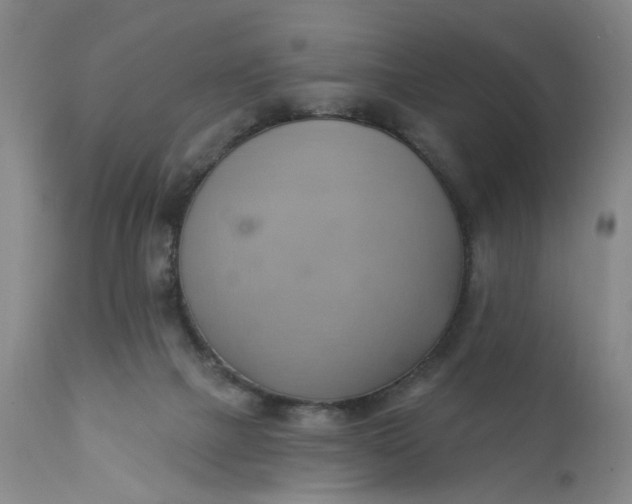 X0000110680073200906261330