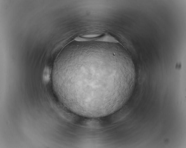 X0000110680075200906261330