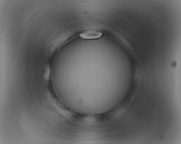 X0000110680076200906261330