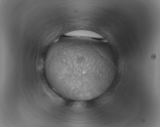 X0000110680077200906261330