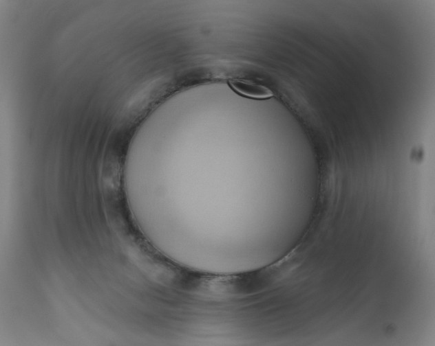 X0000110680078200906261330