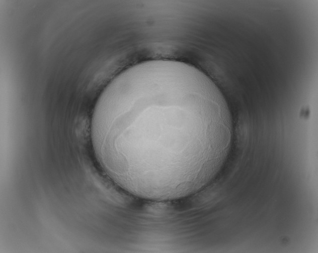 X0000110680079200906261330