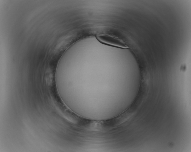 X0000110680080200906261330