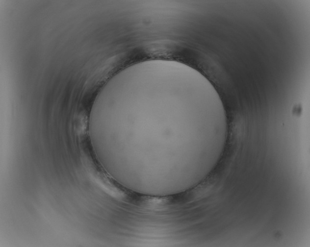 X0000110680081200906261330