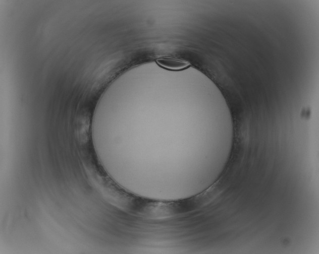 X0000110680082200906261330