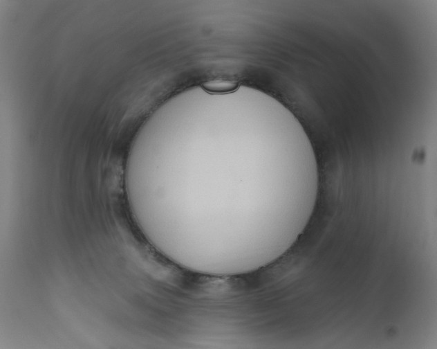 X0000110680083200906261331