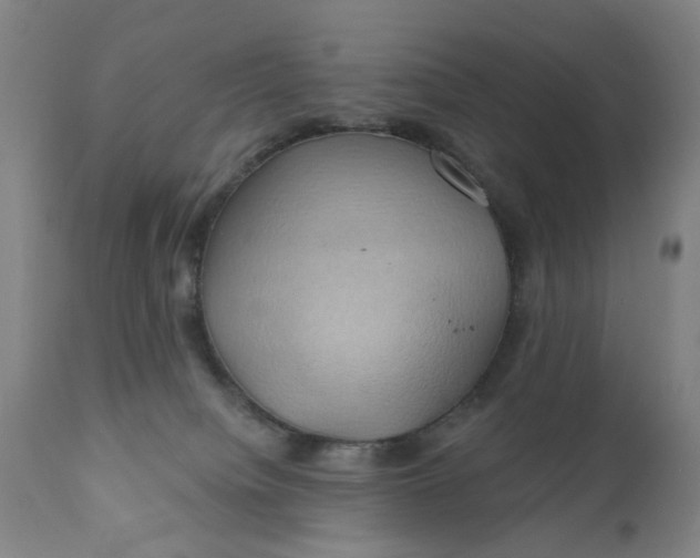 X0000110680084200906261331