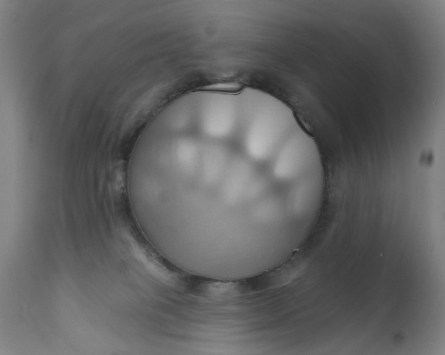 X0000110680085200906261331