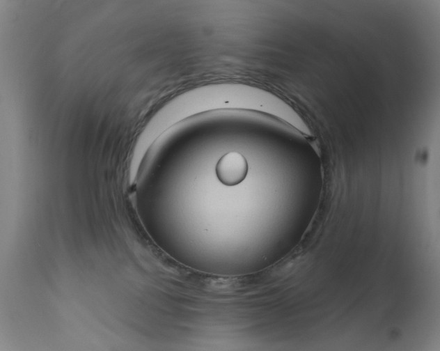 X0000110680088200906261331