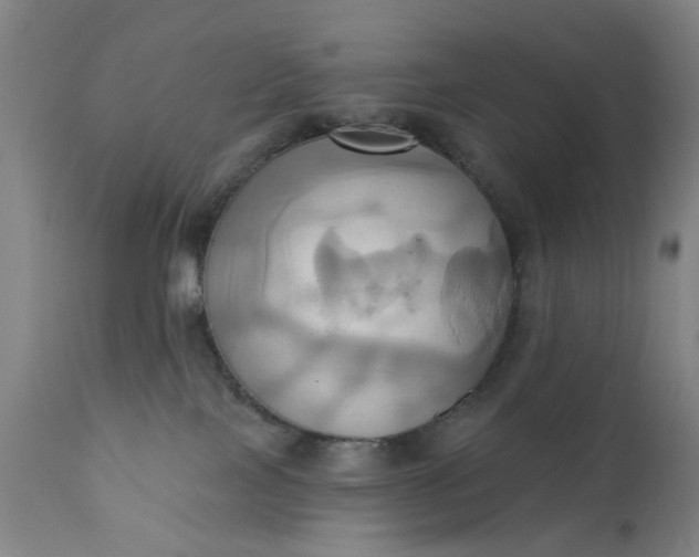 X0000110680089200906261331