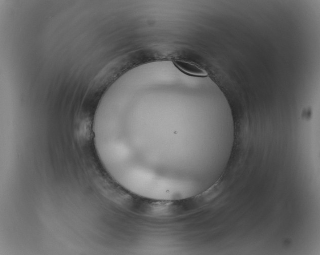 X0000110680090200906261331