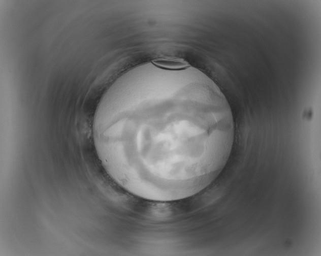 X0000110680091200906261331