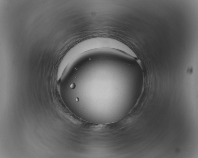 X0000110680092200906261331