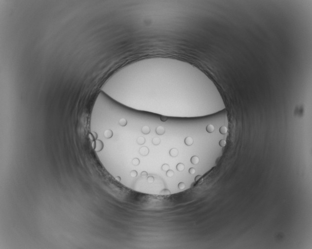 X0000110680093200906261331